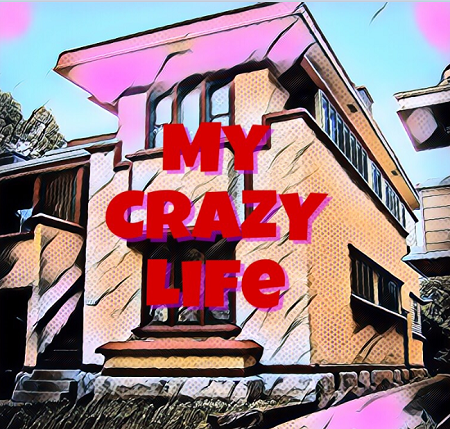My Crazy Life