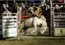 Let’s Hear Your Best “Yee-Haw” at the Texas Tech College Rodeo